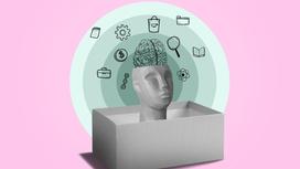 Макет головы человека в коробке, знаки, символизирующие разные сферы науки