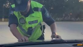 Полицейский пытается остановить машину в Костанае