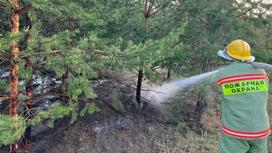 Тушение пожара в лесу в Павлодарской области