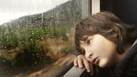 мальчик смотрит в окно