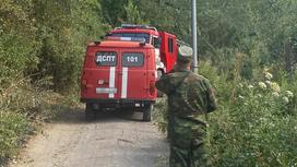 Пожарные машины едут к месту пожара на склоне горы