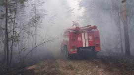 Пожарная машина в горящем лесу