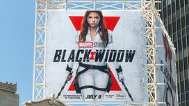 Плакат "Черная вдова"