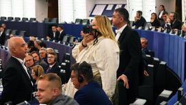 Депутат Европарламента надела намордник в знак протеста