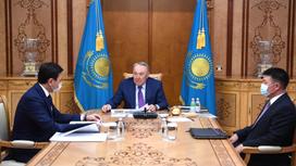 Нурсултан Назарбаев проводит встречу с Алтаем Кульгиновым