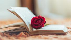 Раскрытая книга и красная роза