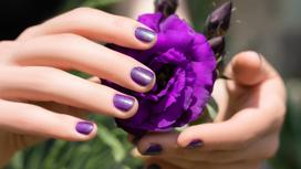Женские руки с фиолетовым маникюром держат красивый цветок