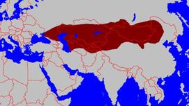 Территория Тюркского каганата в период расцвета