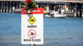Табличка с предупреждением об акулах