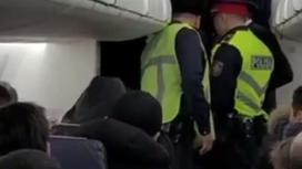 Полицейские в самолете