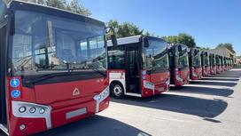 Новые автобусы