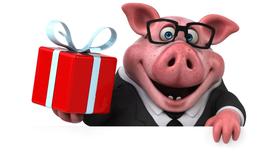 Стилизованная свинка держит подарок