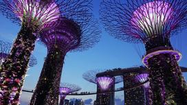 Подсветка футуристических деревьев в Сингапуре