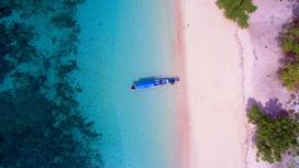 Розовый пляж на острове Комодо