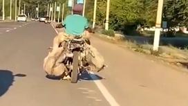 Баранов перевозили на мотоцикле в ВКО