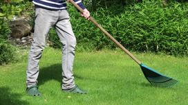 Подросток убирает газон