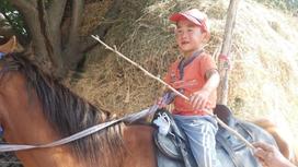 Мальчик сидит на лошади в Жамбылской области