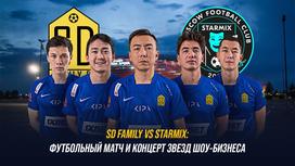 SD Family VS Starmix