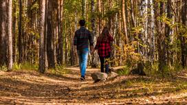 Парень и девушка идут по лесу