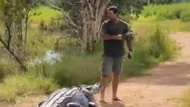 Мужчина отгоняет крокодила