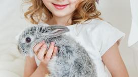 Девочка держит декоративного кролика