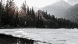 Река во льду и деревья