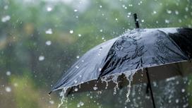 Черный зонт в проливной дождь