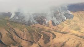 Пожар в горах Жамбылской области