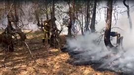 Пожарный тушит пожар в лесу
