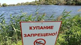 Табличка "Купание запрещено" на берегу реки