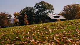 Дом на фоне осенней листвы
