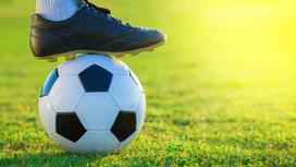 Нога в бутсе поставлена на футбольный мяч на фоне газона