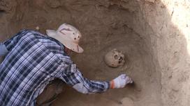 Археолог обнаружил останки воина сакской эпохи
