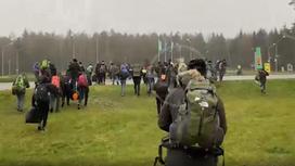 Новая группа мигрантов прибыла на белорусско-польскую границу