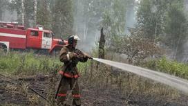Пожарный тушит возгорание в лесу