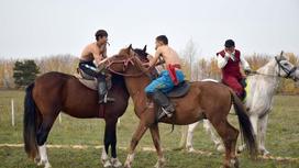 Наездники на лошадях