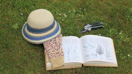 Откртыая садовая книга лежит на траве. Рядом лежит секатор, на книге лежит перчатка и шляпа