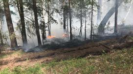 Пожар в Айыртауском районе