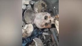 Человеческие останки, найденные в Уральске