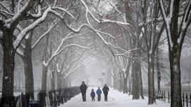 Люди гуляют в парке в снежную погоду