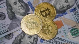 Монеты биткоинов лежат на долларах