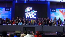 Конвенции WBC