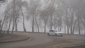 Автомобиль едет в тумане