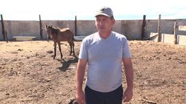 Талгат Шакубаев стоит рядом со своей лошадью