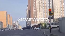 Лошадь в центре Астаны