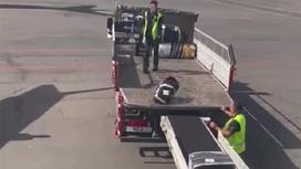 Сотрудники аэропорта грузят багаж