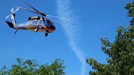 Вертолет летит над деревьями
