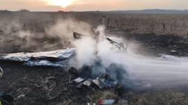 Разбившийся самолет в Подмосковье