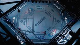 Скриншот видеоигры UFC 5