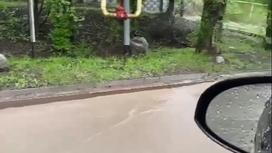 Потоки дождевой воды на одной из улиц в Алматы